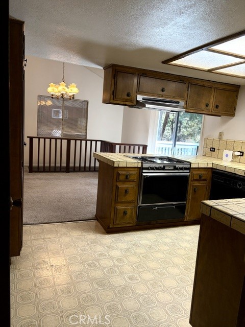 1163 Jungfrau Property Photo 24