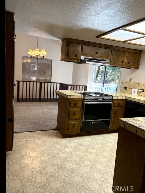 1163 Jungfrau Property Photo 24