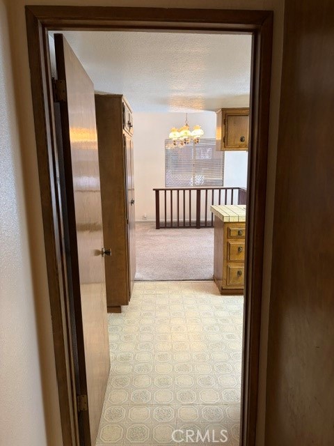 1163 Jungfrau Property Photo 25