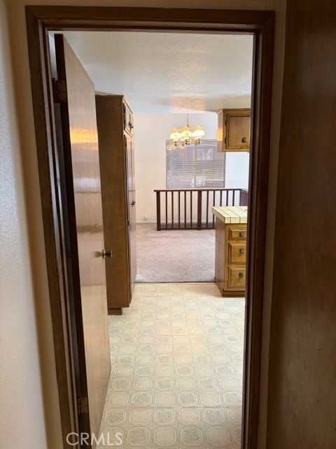 1163 Jungfrau Property Photo 25