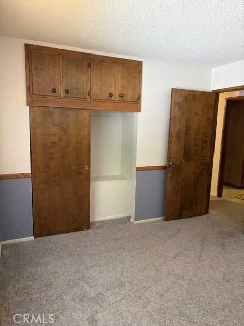 1163 Jungfrau Property Photo 29