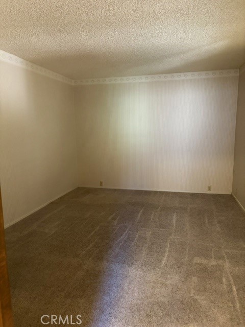 1163 Jungfrau Property Photo 32