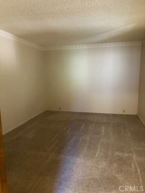 1163 Jungfrau Property Photo 32