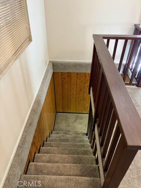 1163 Jungfrau Property Photo 37