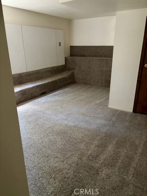 1163 Jungfrau Property Photo 43