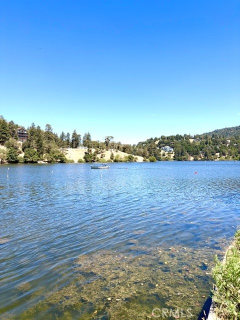 1163 Jungfrau Property Photo 54