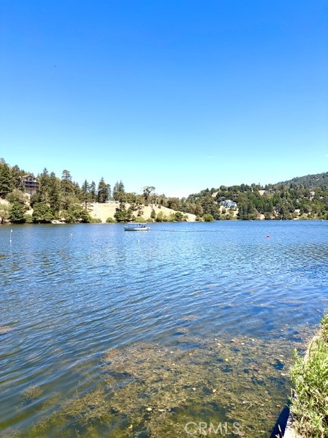 1163 Jungfrau Property Photo 54