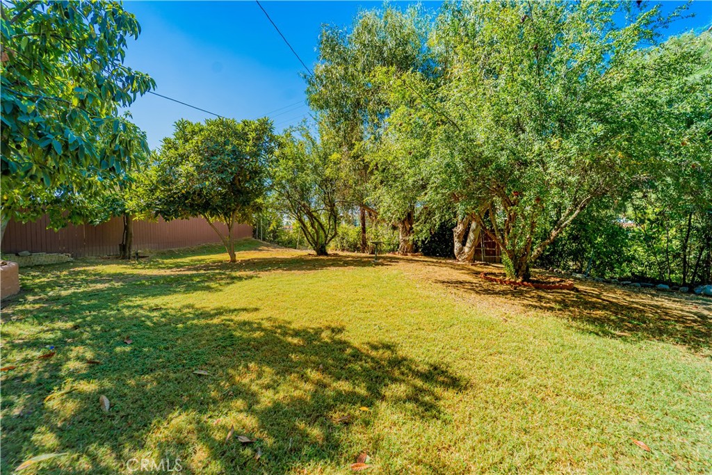 945 Mira Valle Street Property Photo 43