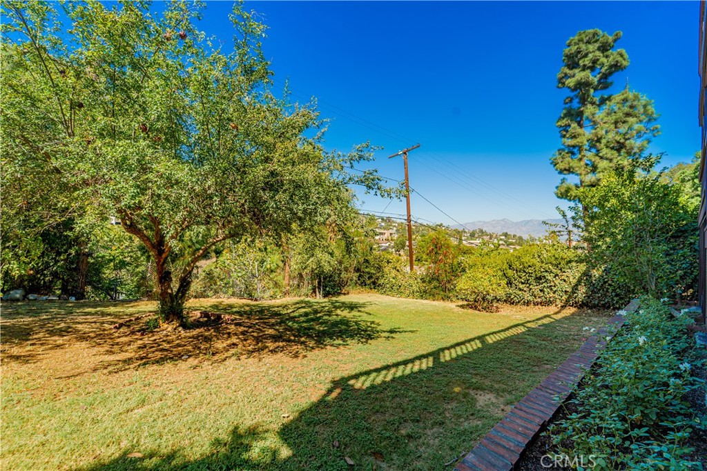 945 Mira Valle Street Property Photo 44