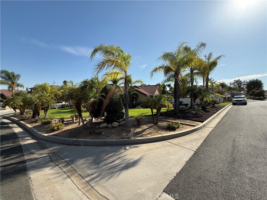11551 Knoll Vista Property Photo 5
