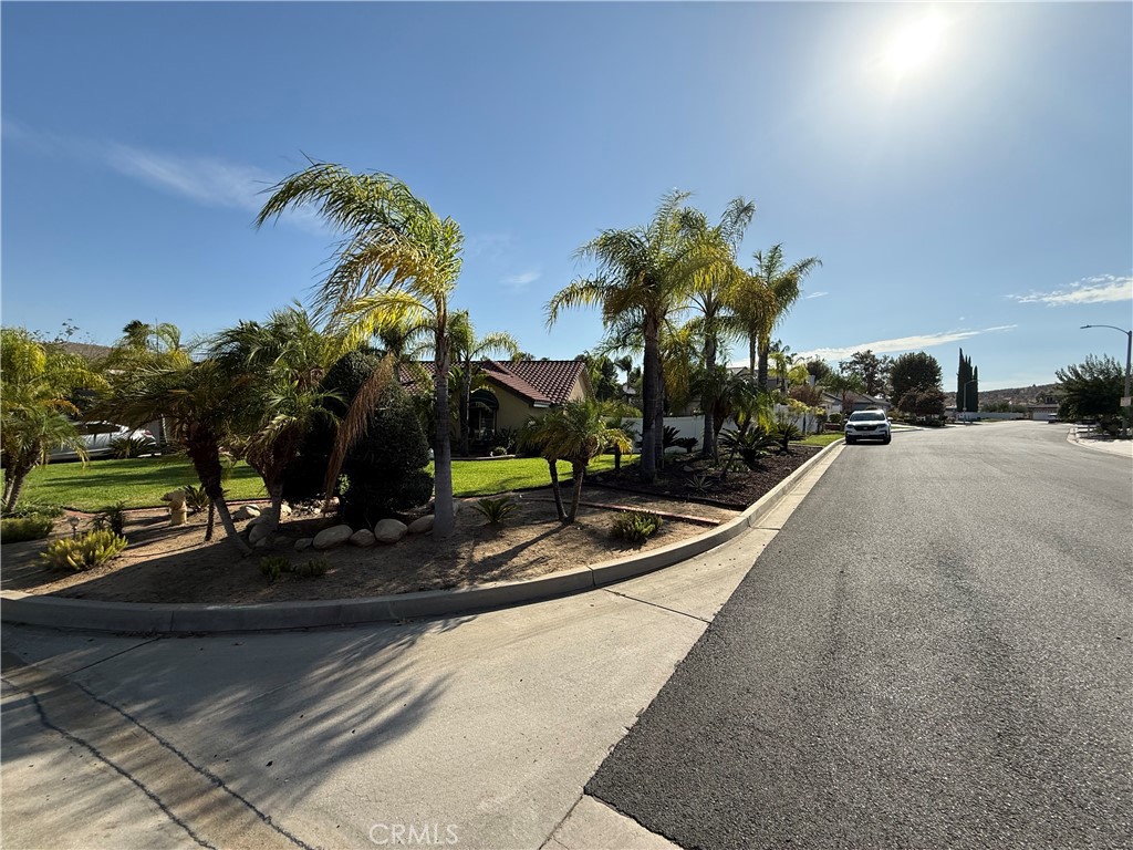 11551 Knoll Vista Property Photo 6