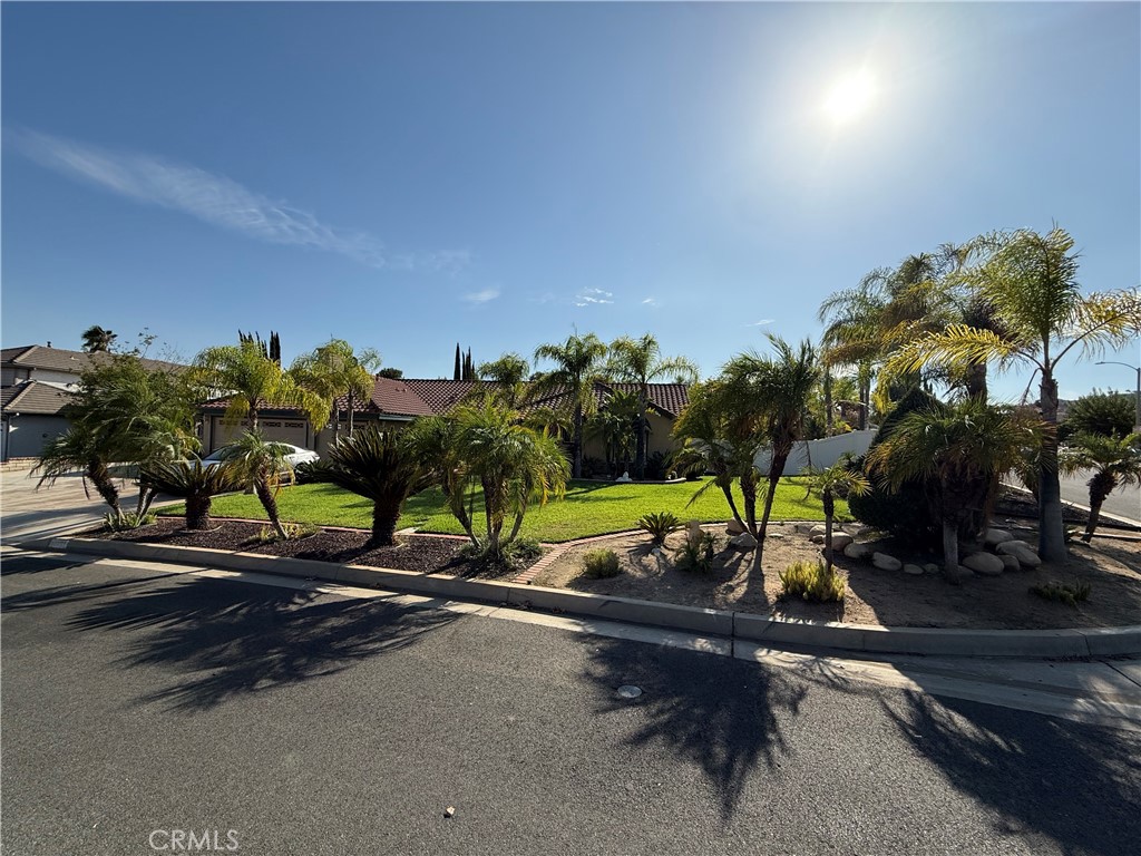 11551 Knoll Vista Property Photo 7
