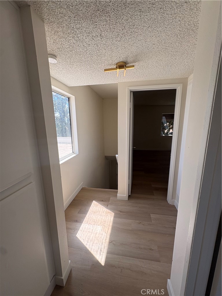 12246 Carnation #b Lane Unit #b Property Photo 39