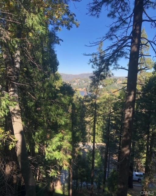0 S Outer Lake Gregory Property Photo 2