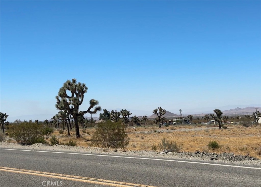 0 Bear Valley Road Property Photo 2