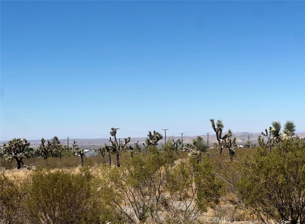 0 Bear Valley Road Property Photo 3