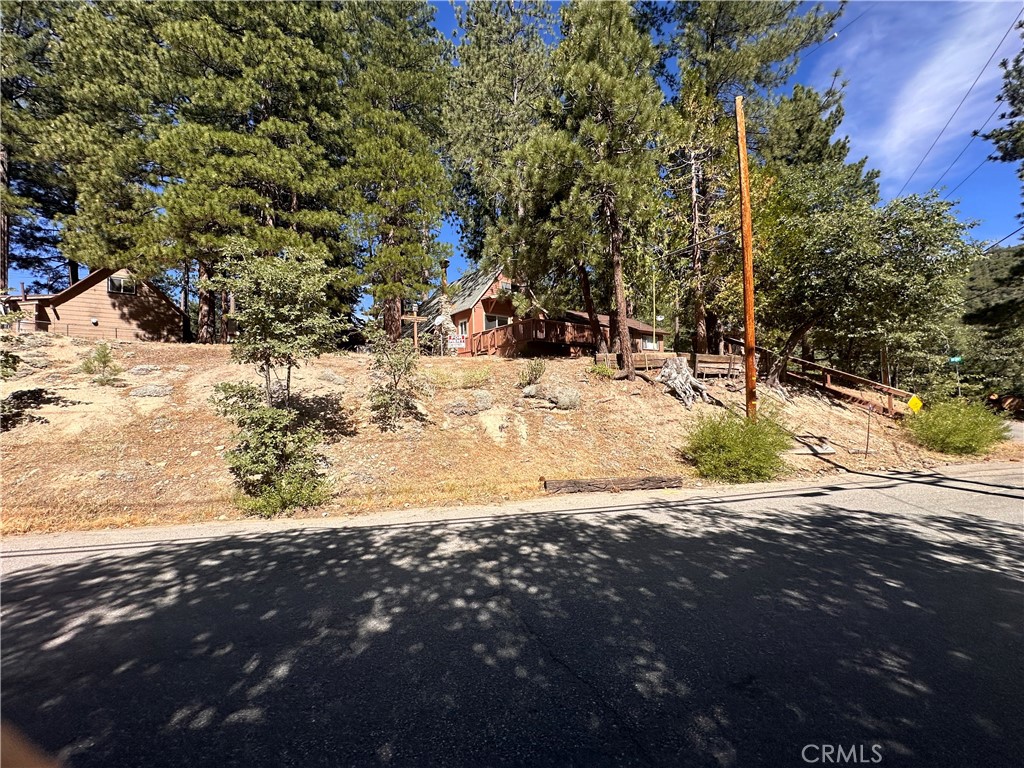 2242 Deep Creek Drive Property Photo 7