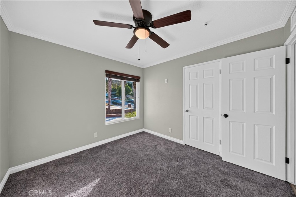 904 Beech Hill Property Photo 25