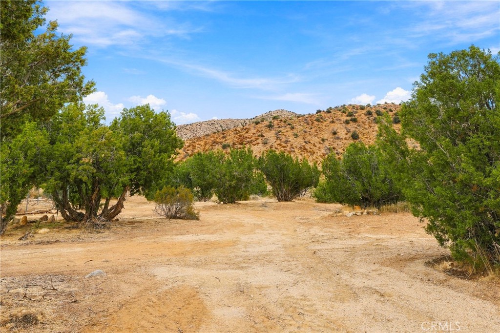 29310 Devils Punch Bowl Property Photo 15