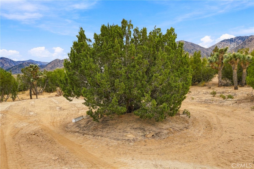 29310 Devils Punch Bowl Property Photo 16