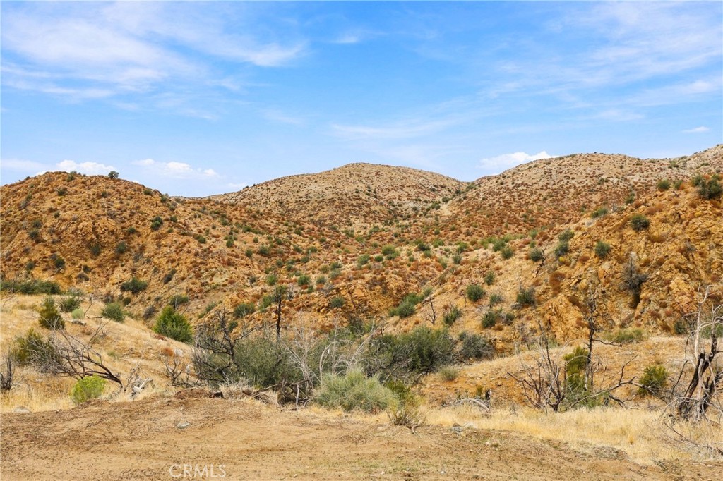 29310 Devils Punch Bowl Property Photo 17
