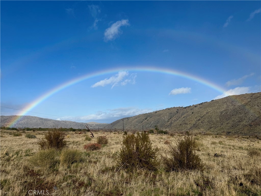 29310 Devils Punch Bowl Property Photo 28