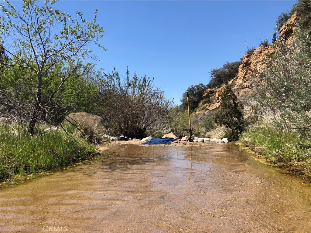 29310 Devils Punch Bowl Property Photo 29