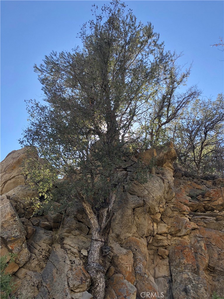 29310 Devils Punch Bowl Property Photo 30