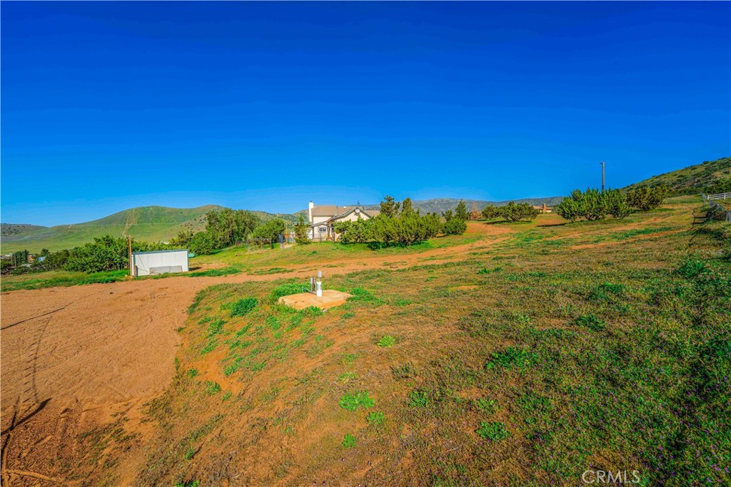 34754 Ellenan Ave Property Photo 11