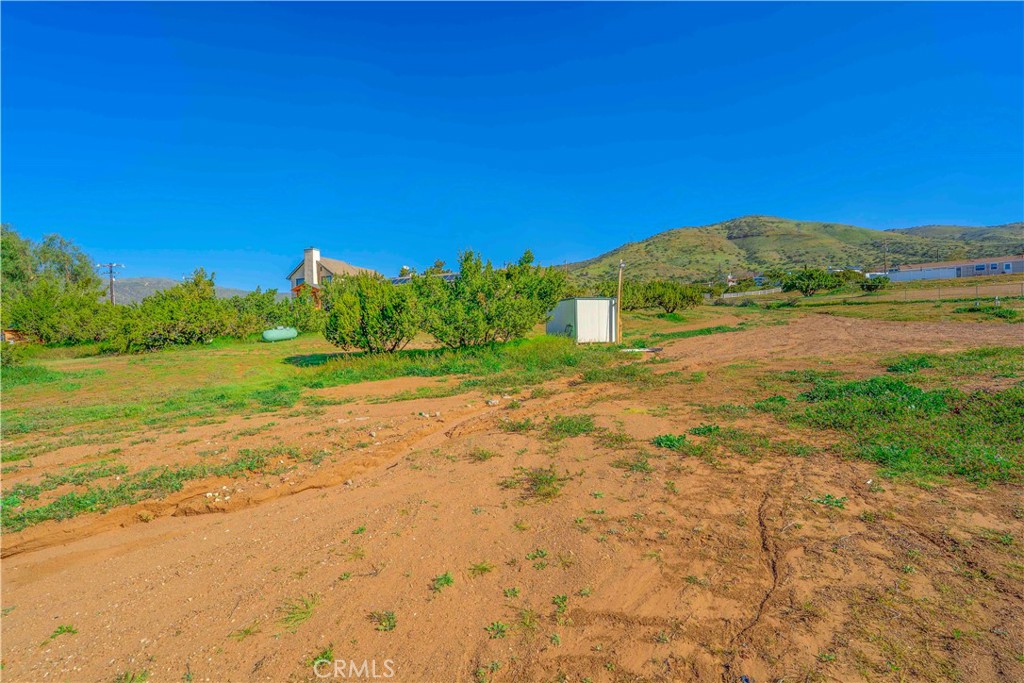 34754 Ellenan Ave Property Photo 15