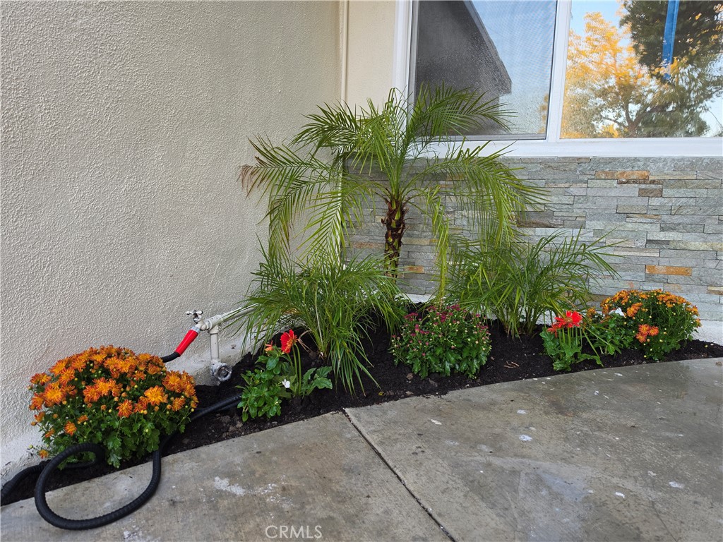 305 Colston Property Photo 18