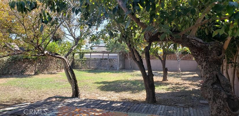 10508 Lesterford Property Photo 14