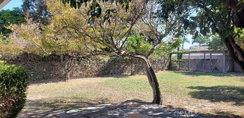 10508 Lesterford Property Photo 15
