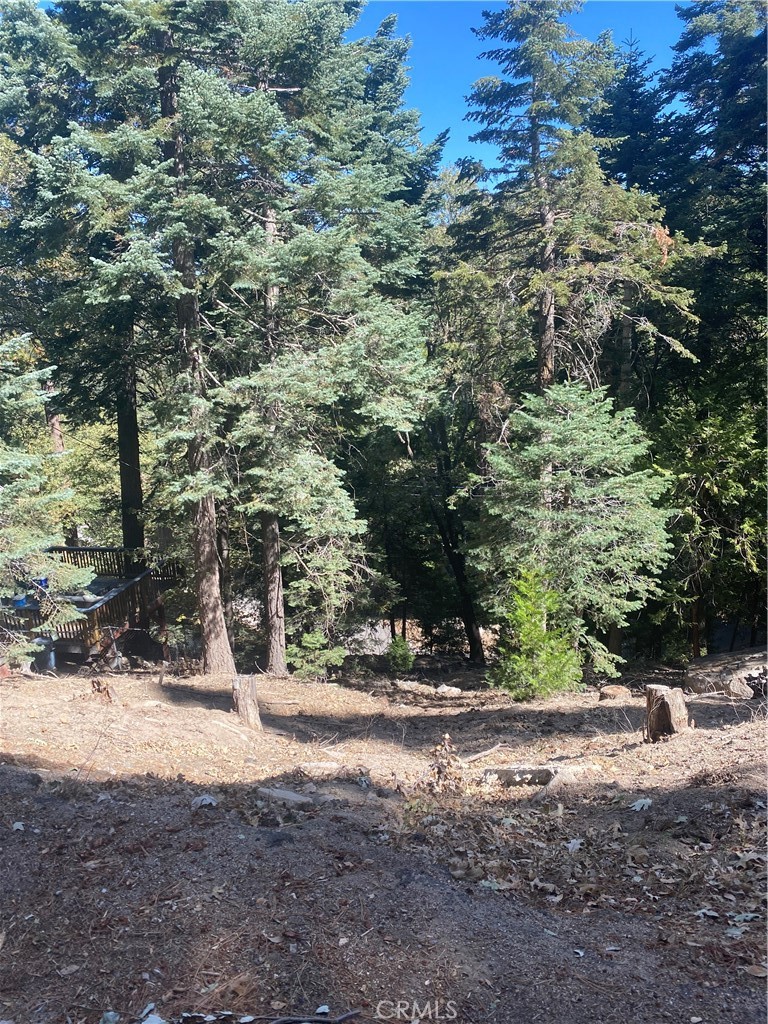0 Strawberry Ln Property Photo 10