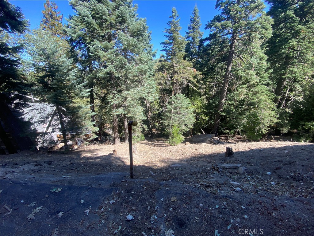 0 Strawberry Ln Property Photo 11