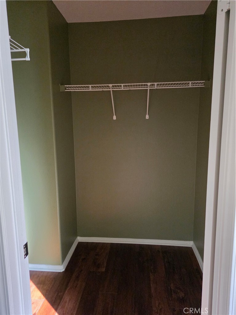 27139 Tube Rose Street Property Photo 14