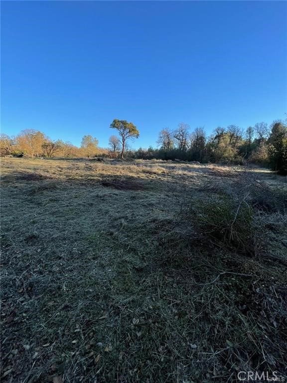 15307 Brannan Property Photo 3