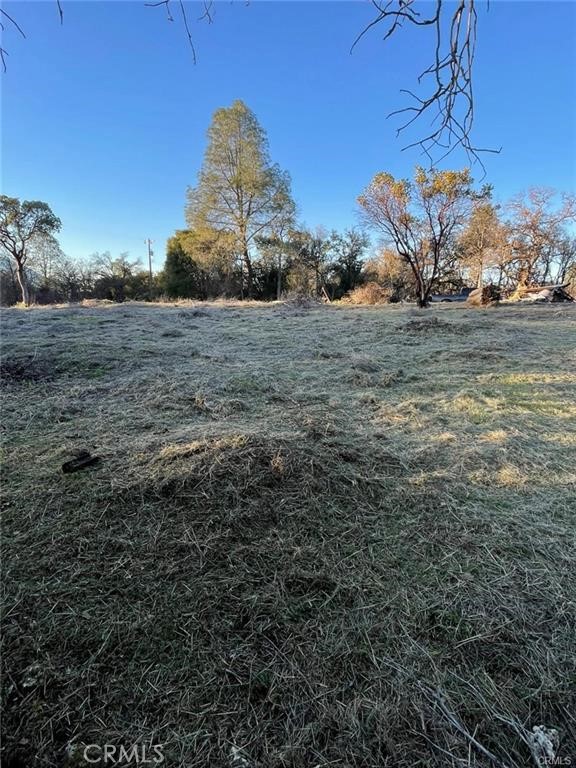 15307 Brannan Property Photo 5