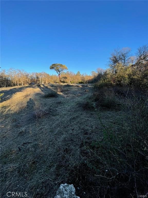 15307 Brannan Property Photo 6