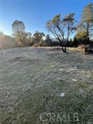 15307 Brannan Property Photo 7