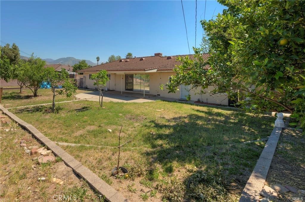 184 Palmyra Property Photo 23