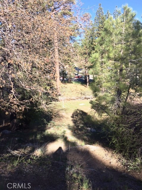0 Talmadge Property Photo 1