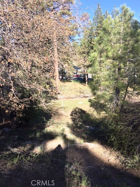 0 Talmadge Property Photo 1