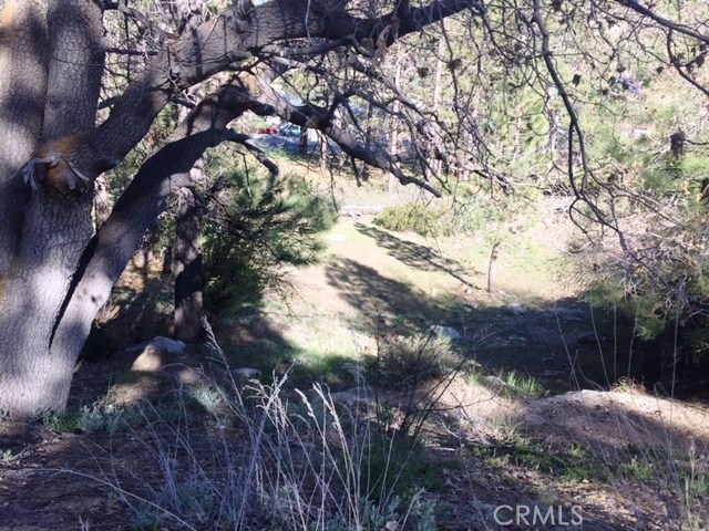 0 Talmadge Property Photo 3