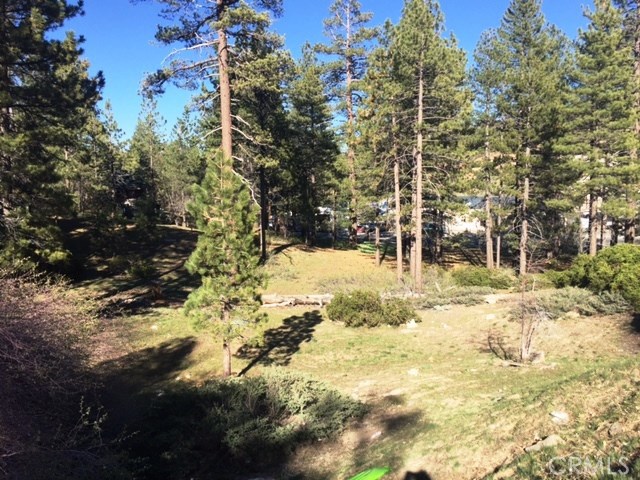 0 Talmadge Property Photo 4