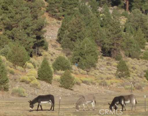 2151 Erwin Ranch Road Property Photo 4