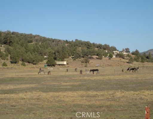 2151 Erwin Ranch Road Property Photo 5