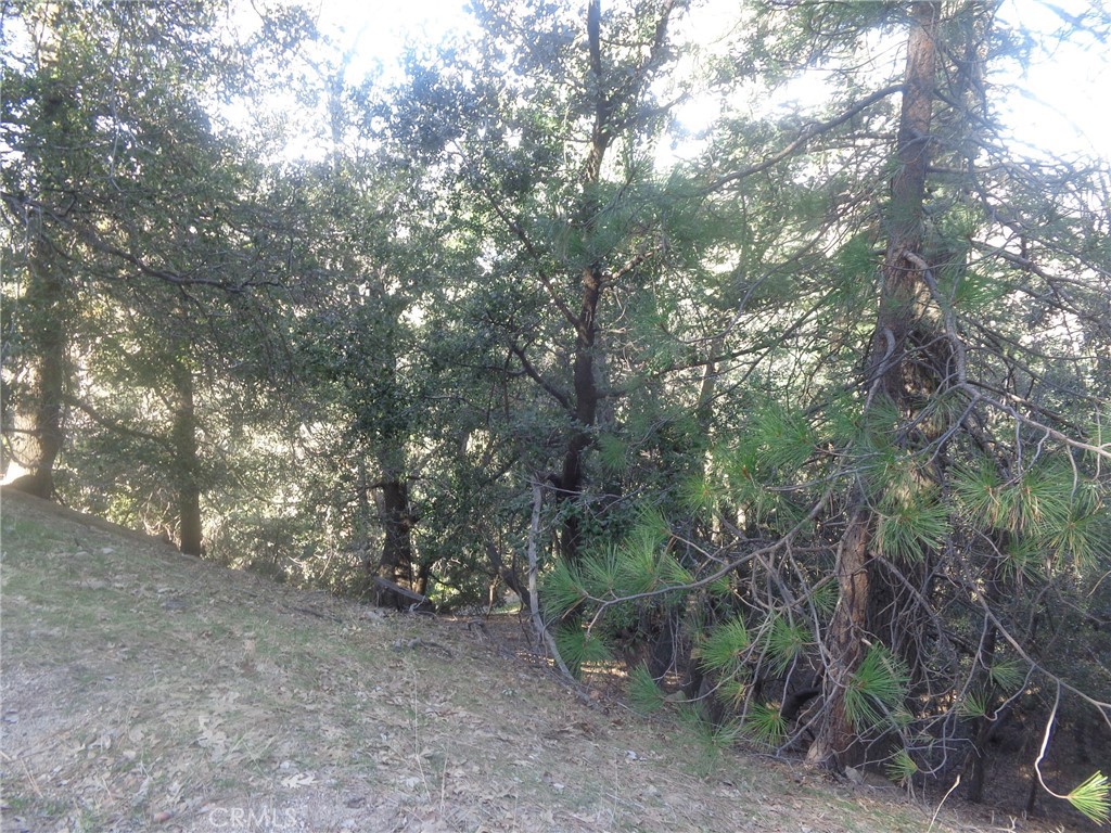 72 Lot Chillon Property Photo