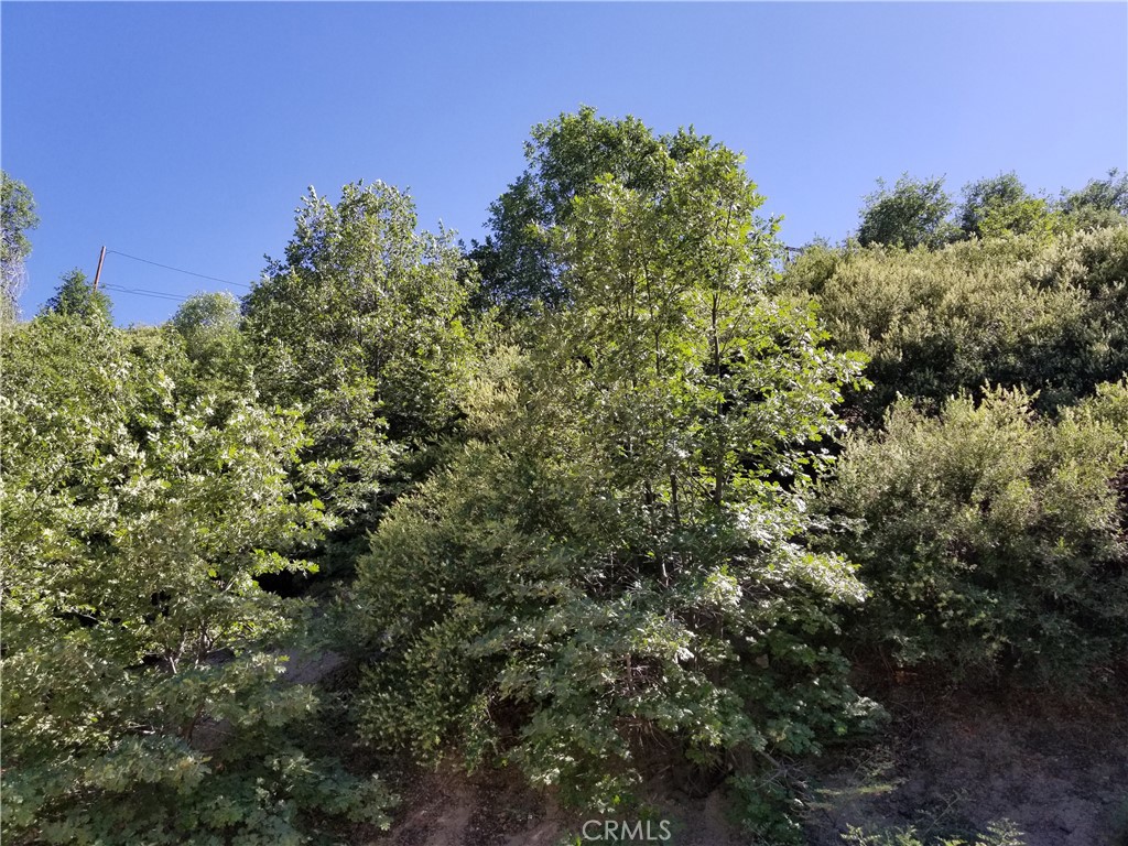 0 Elder Drive Property Photo 2