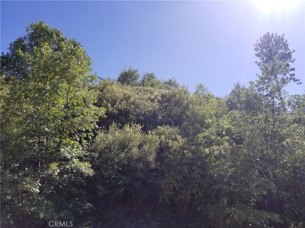0 Elder Drive Property Photo 3